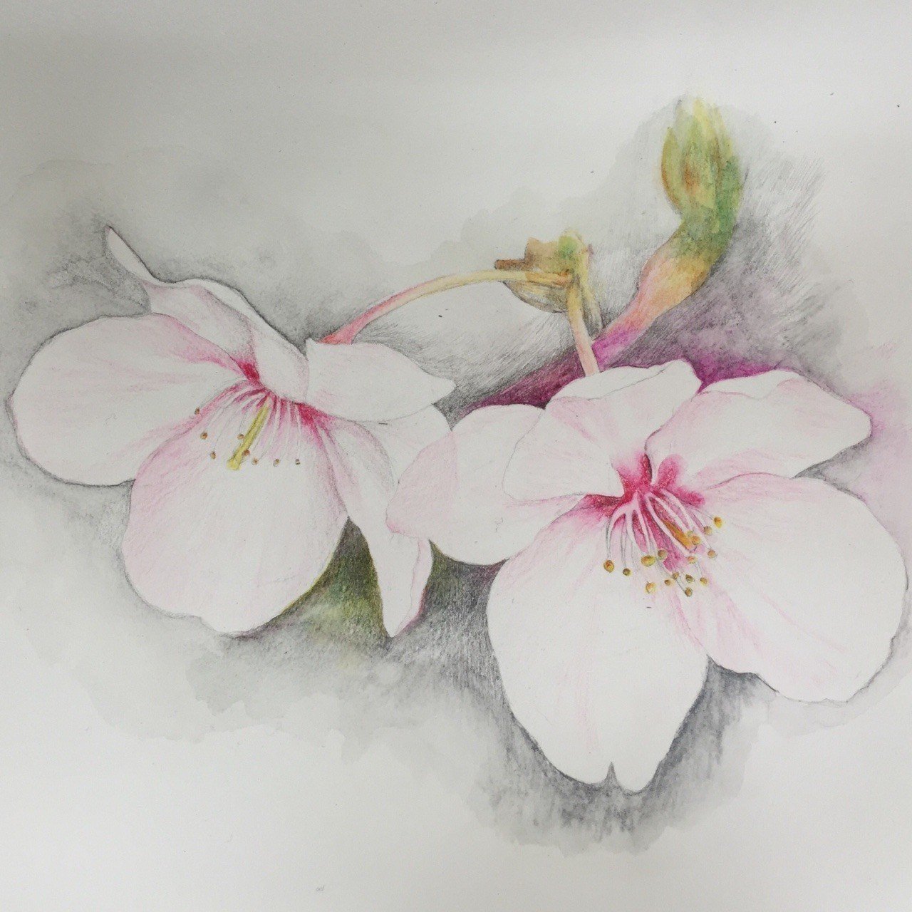 新しい B２ アクリル絵具 色鉛筆イラスト 桜の季節にタイムリープ 絵画 タペストリ
