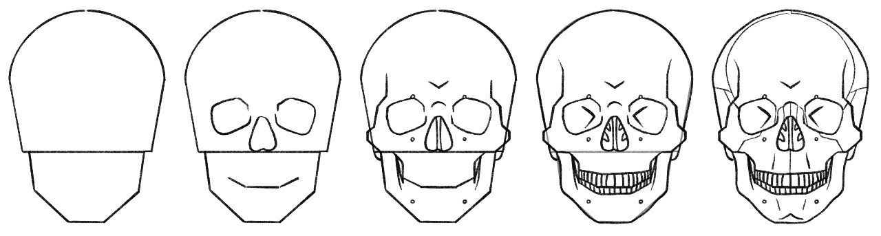 1: 頭蓋骨を描く｜伊豆の美術解剖学者