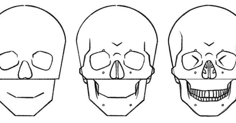 1 頭蓋骨を描く 伊豆の美術解剖学者 Note