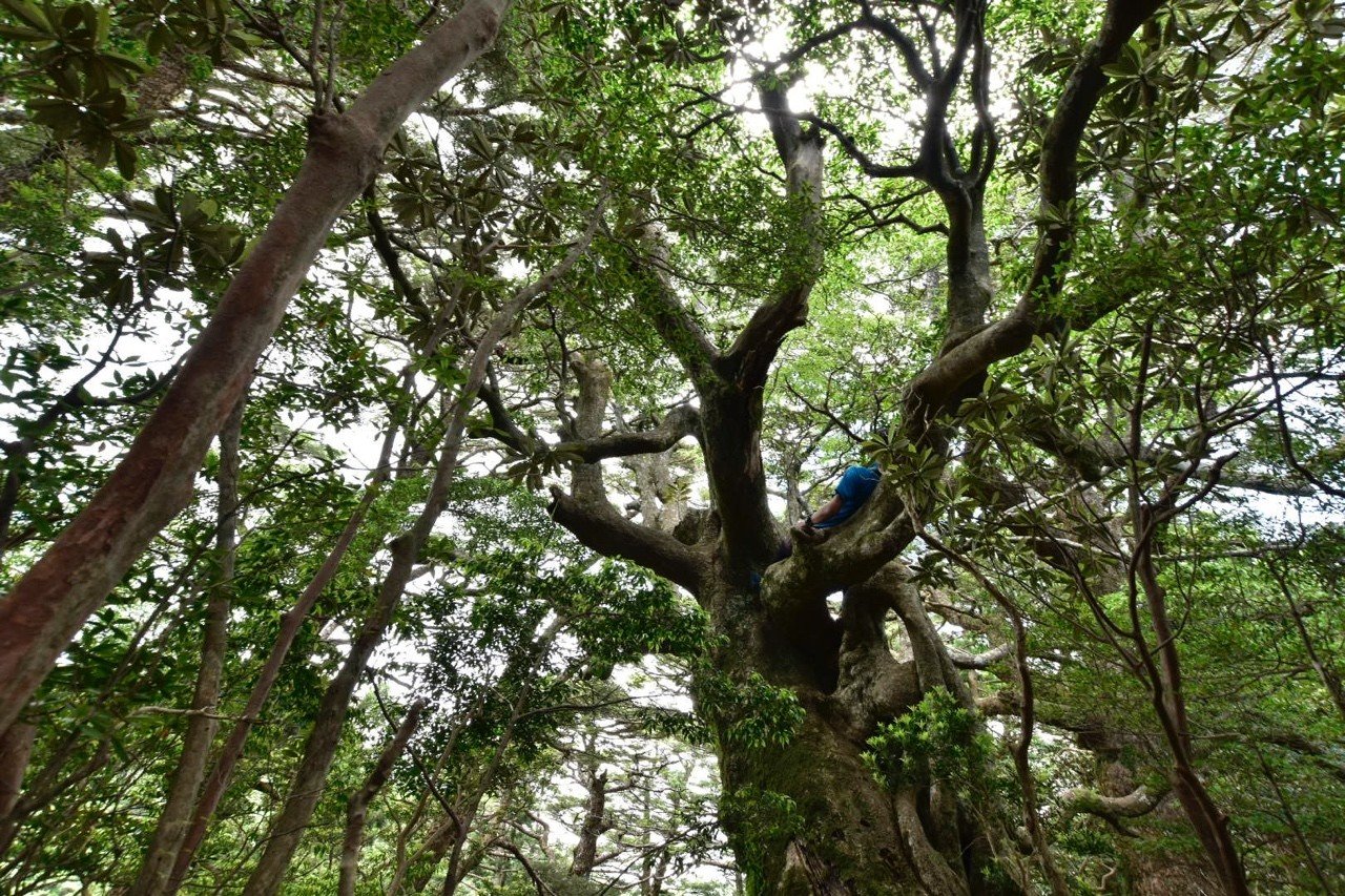 自然体験と子ども心 Our Greatest Natural Resource Is The Minds Of Our Children Yakutakeshi0527 Note 自然体験と子ども心 Our Greatest Natural Resource Is The Minds Of Our Children Yakutakeshi0527 Note