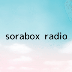 sorabox radio01