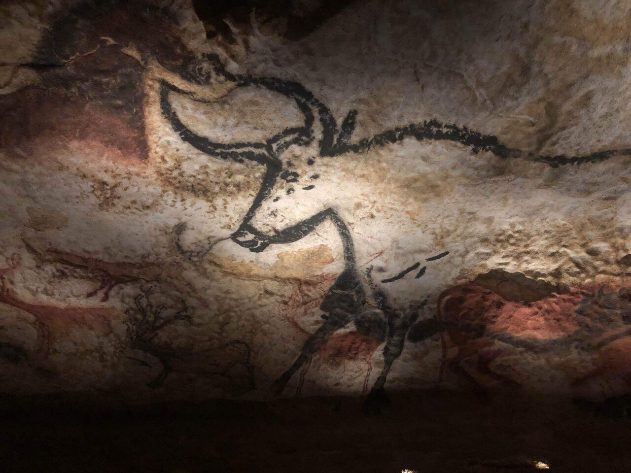 フランス②】 ラスコー周辺の洞窟壁画群に行ってみた。 トロッコに乗っ