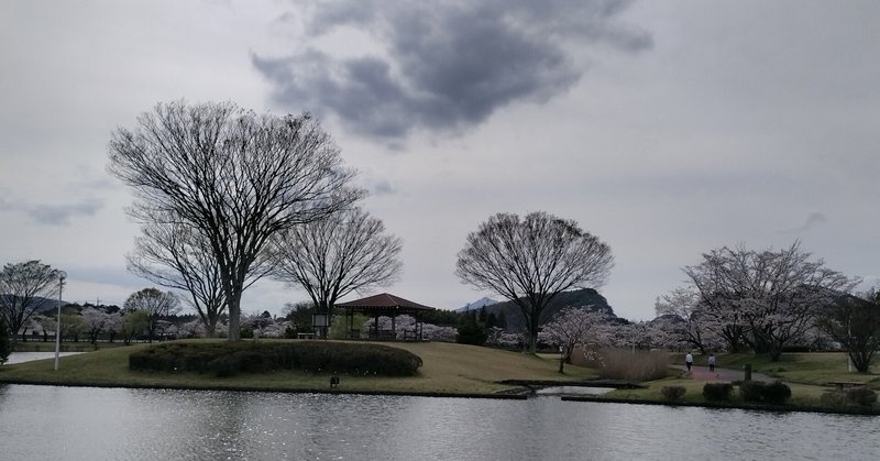 池と桜がきれいな柏原池公園にいってみた｜茨城県石岡市