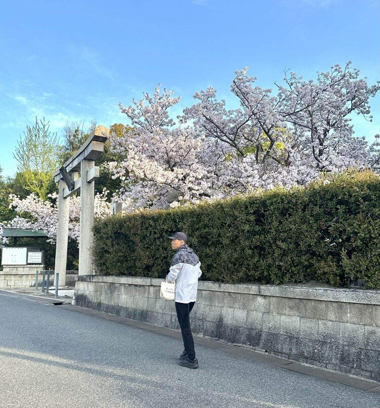 関西のソメイヨシノはそろそろ葉桜🌿でも場所によっては今が満開のところもあります🌸