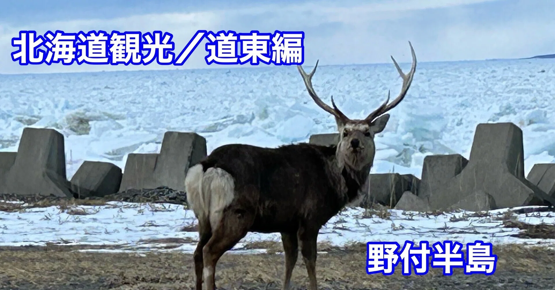 北海道観光／道東編】北海道にある「この世の果て」とは…｜オジロワシ