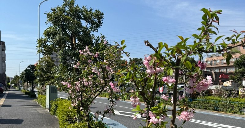 一日の平穏は朝に掴む