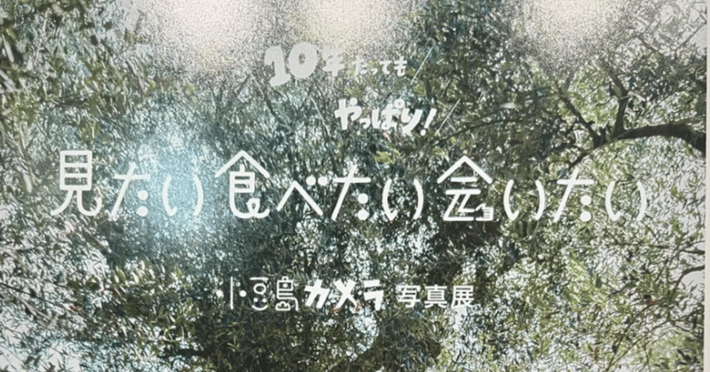 Netflix「からかい上手の高木さん」実写版の舞台・小豆島の魅力を伝える7人の女性