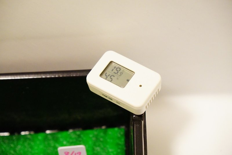 ハボタンの育苗 種まき ゆかこ Note ハボタンの育苗 種まき ゆかこ Note