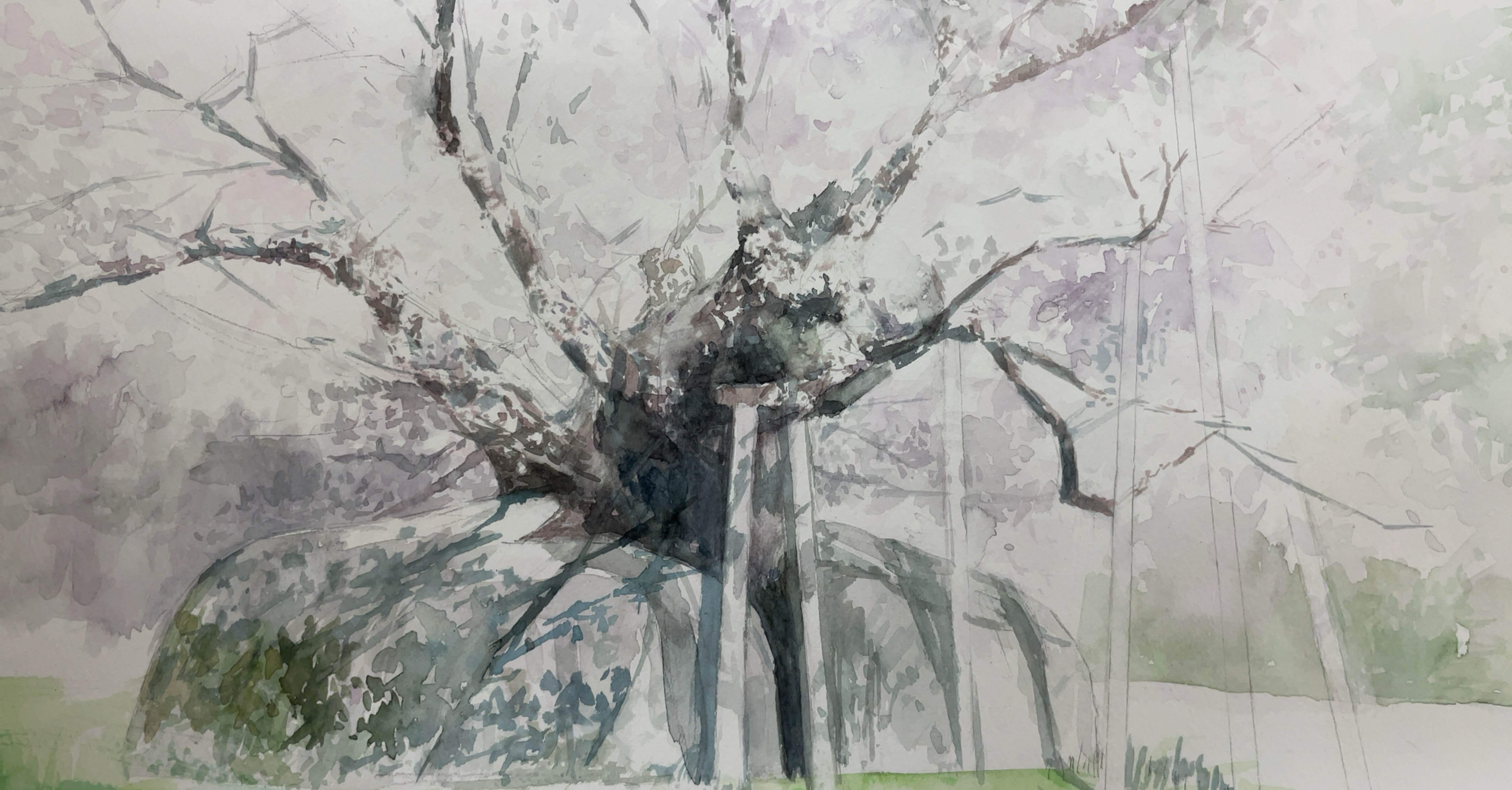 石割桜、咲いた｜nyororo @美術準備室