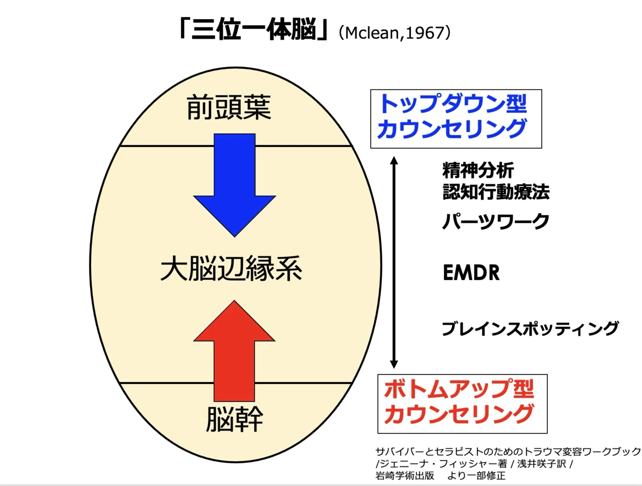トラウマケアの方法論① オンラインEMDRについて / 沖縄県 臨床心理士