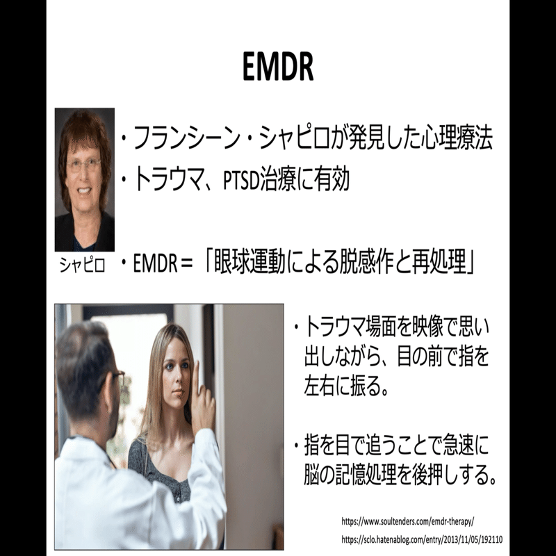 トラウマケアの方法論① オンラインEMDRについて / 沖縄県 臨床心理士