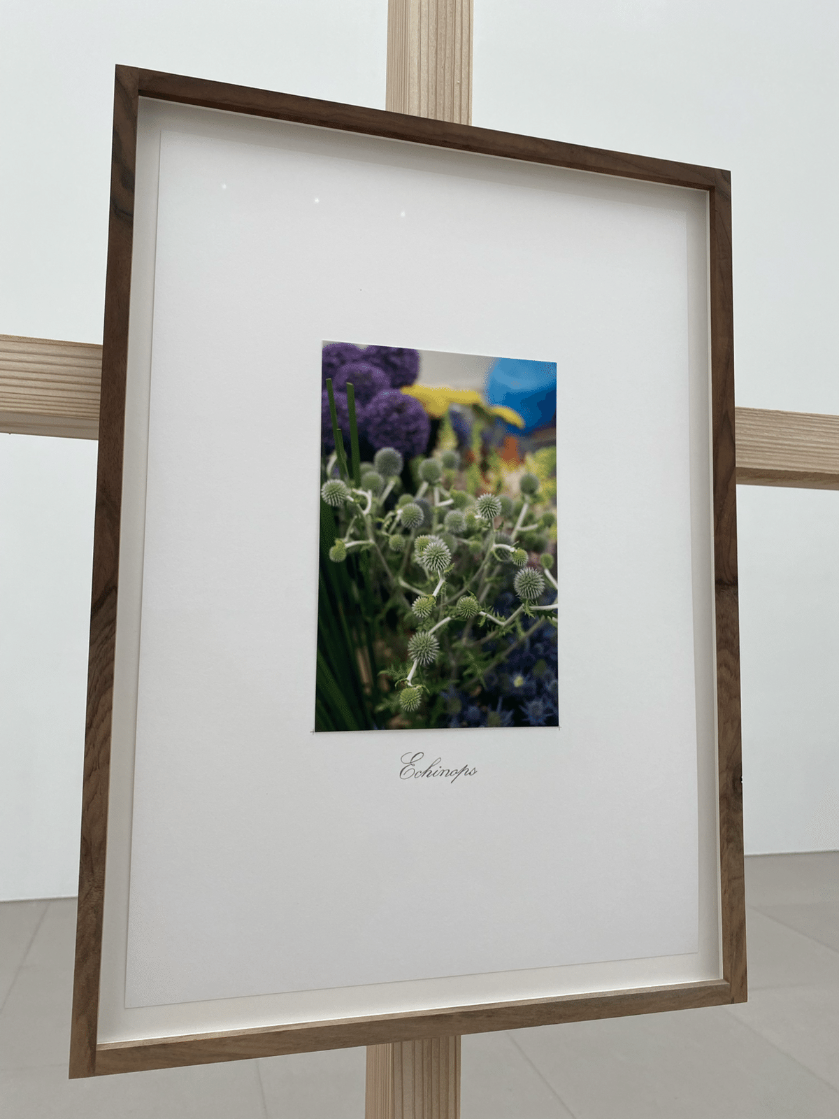 絵画　ヴンダーカンマー　原画　展示作品 1711066397532_945947d136cc99a7