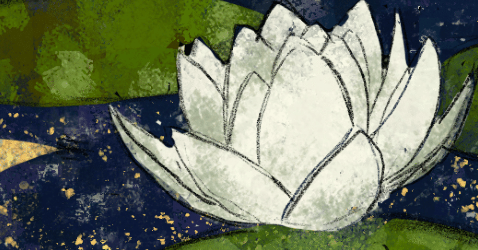 35c6876a5d2983bb405610e7156e71