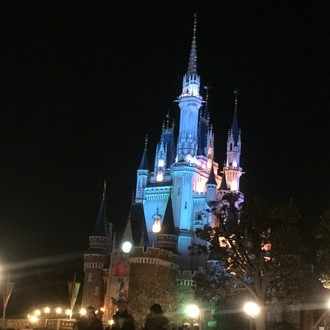 ディズニーランド ワンスアポンアタイム 抽選の秘密3 Amuyayo Note