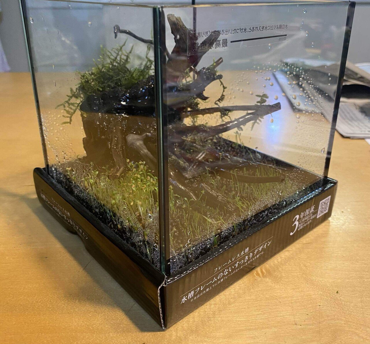 誰でも簡単アクアリウム 定期的なリセット！｜バージルGO