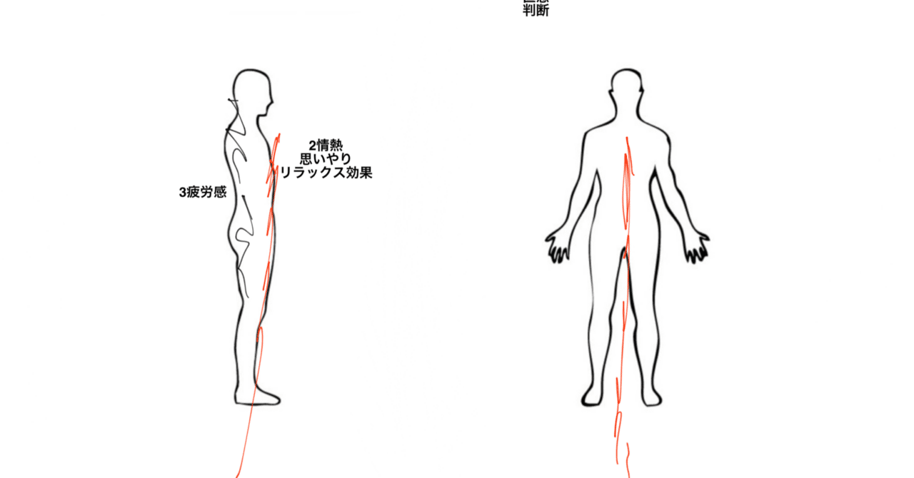 ロラタディナ メドクイミカのリーフレット