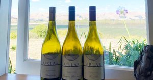 鹿児島の大地の力を焼酎造りに」西酒造（鹿児島県日置市）訪問記