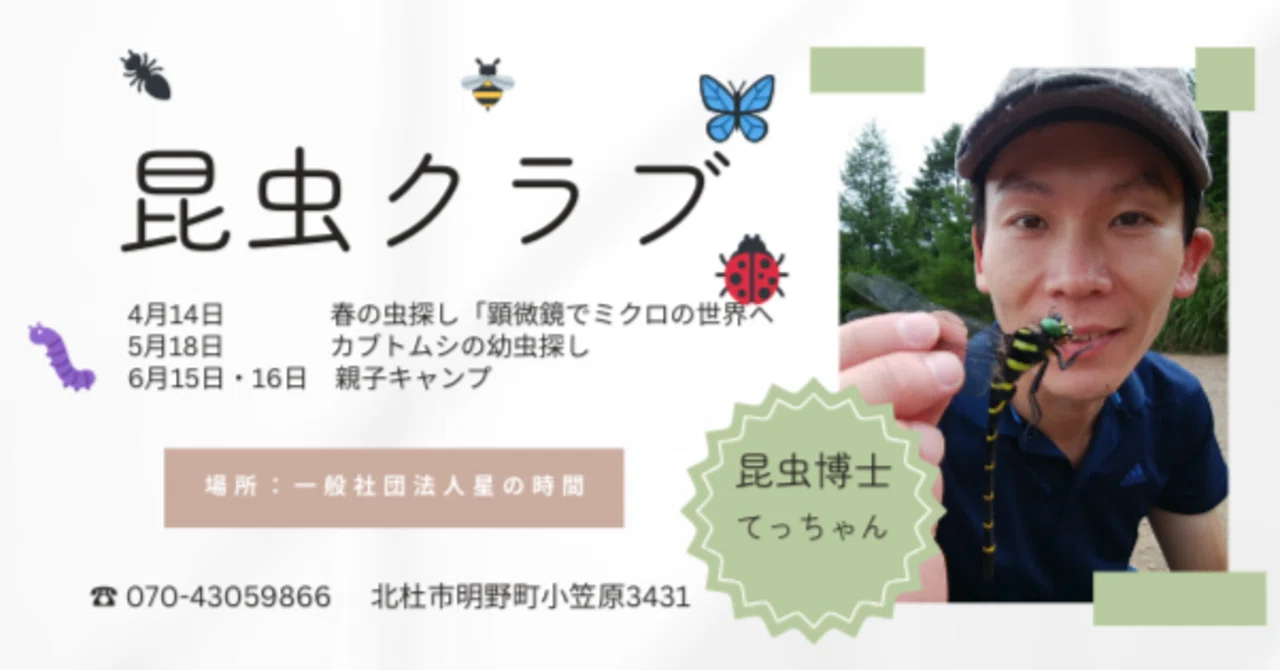 Insect Club April-June Program｜「星の時間」八ヶ岳の子どもと大人の遊び場&ゲストハウス