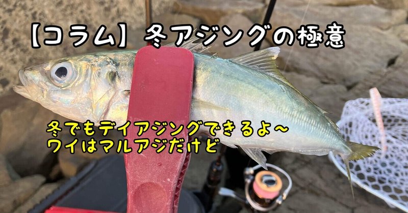 【コラム】冬アジングの極意