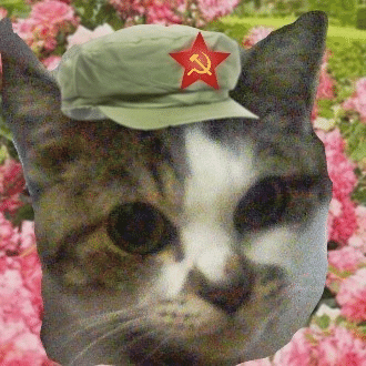 ファム ファタール香水メゾン マリア・カンディータ・ジェンティレ