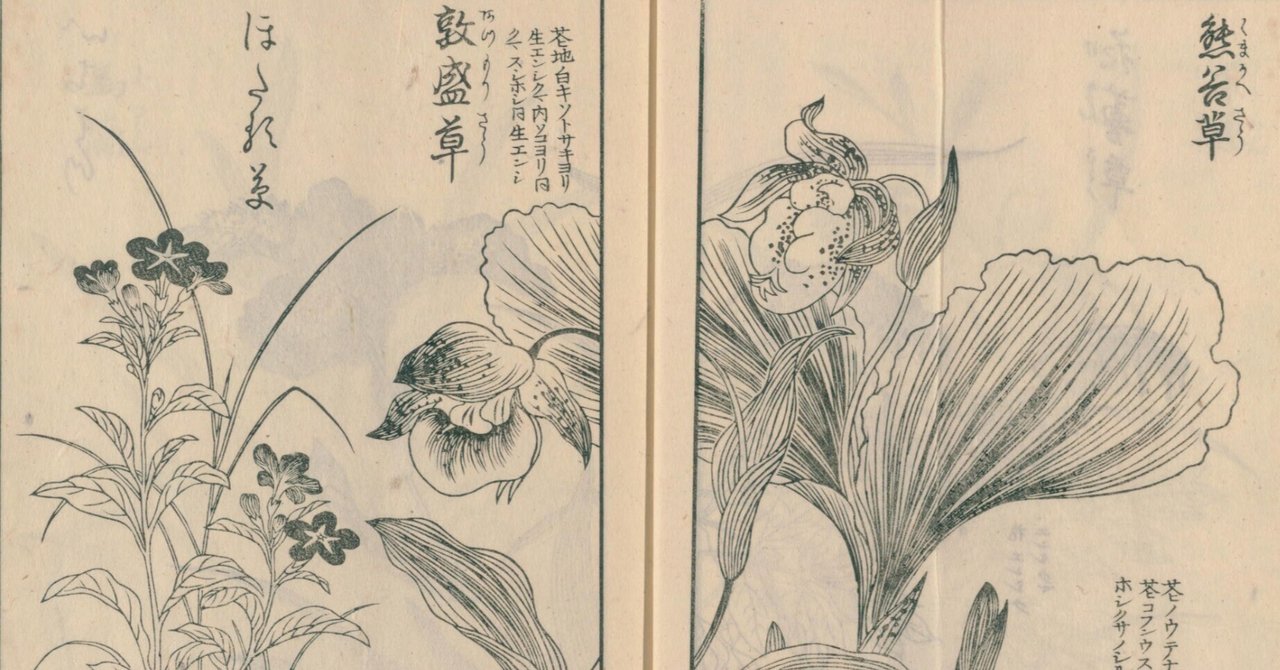 絵本野山草】(1) 甘菊花／紫蕙／花蔓草／熊谷草／敦盛草／ほたる草