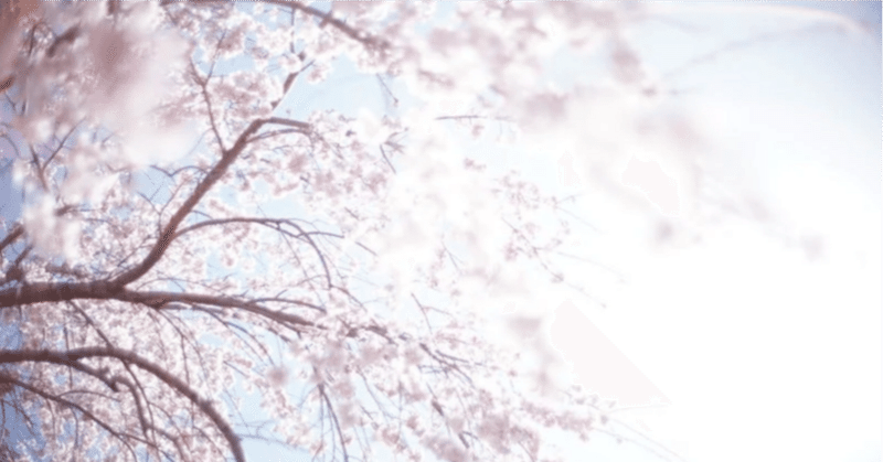 再掲【詩】「桜の雪」