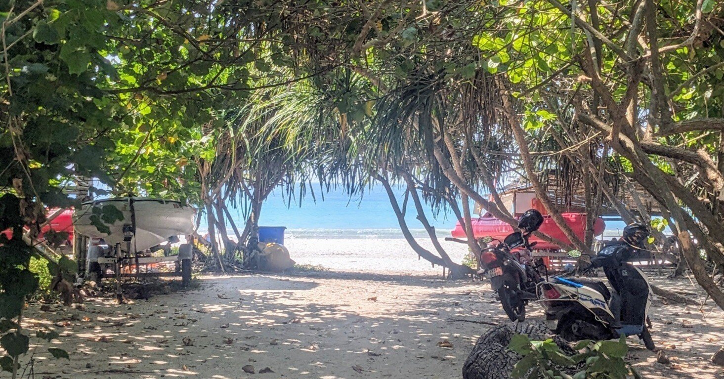 インド気まぐれ旅⑦：猫と海とバイクのアンダマン・ニコバル諸島｜Ren