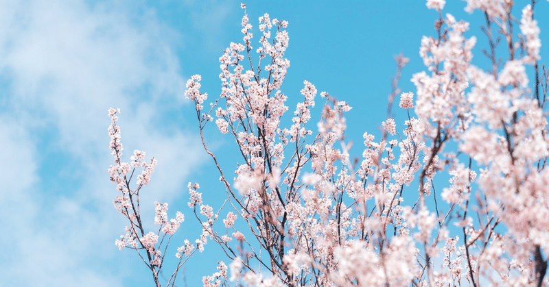 中学生の時に考えていたこと