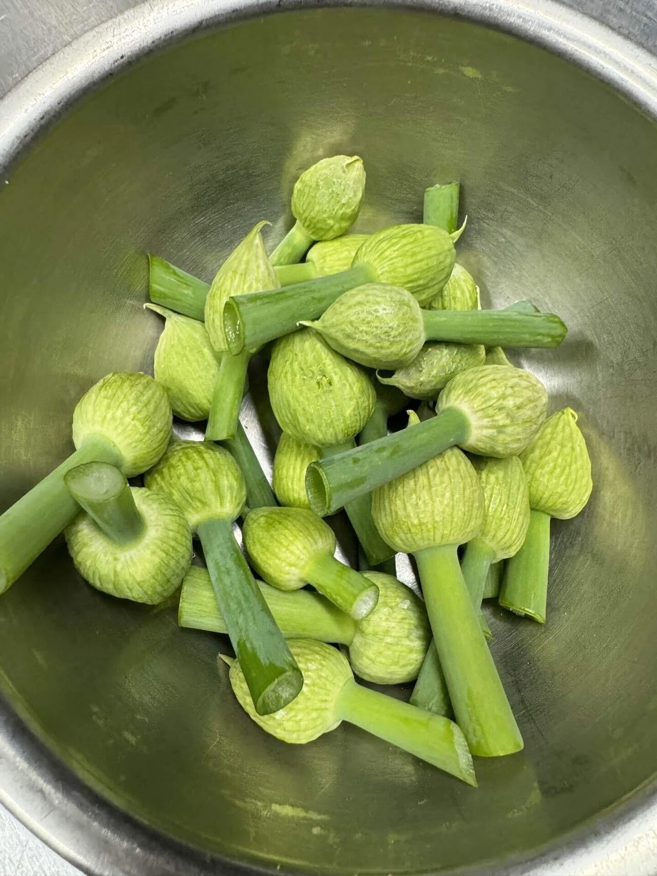 ネギ坊主を美味しく食べる簡単レシピ｜ミツワヤスコ🌿地方飲食