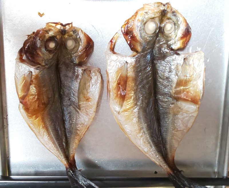真鶴の小鯵と霞ヶ浦の白魚 Daysuke Takaoka Blowbass Note 真鶴の小鯵と霞ヶ浦の白魚 Daysuke Takaoka Blowbass Note