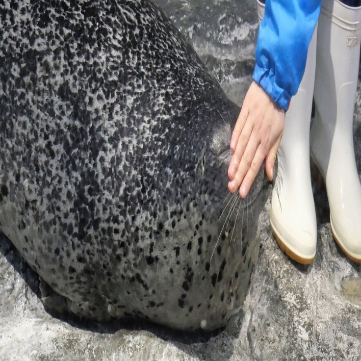 アザラー、北へ行く 〜第1回 北といえば北関東〜｜ベッチ