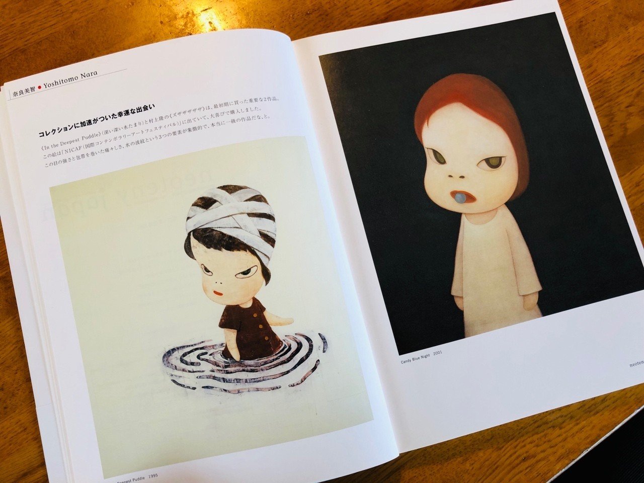 図録とともに美術展を振り返る （1）〜2009年「ネオテニー・ジャパン