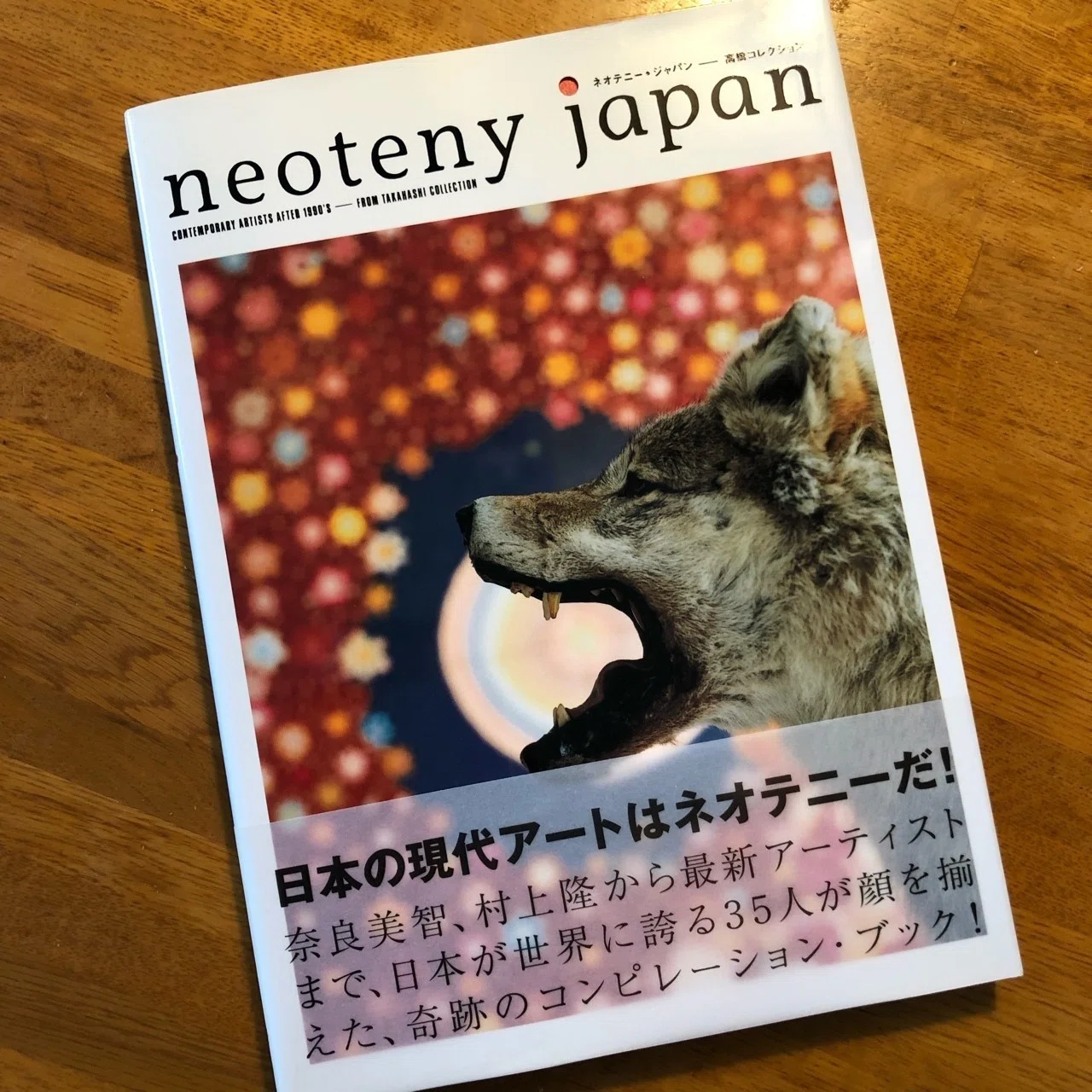 図録とともに美術展を振り返る （1）〜2009年「ネオテニー・ジャパン 