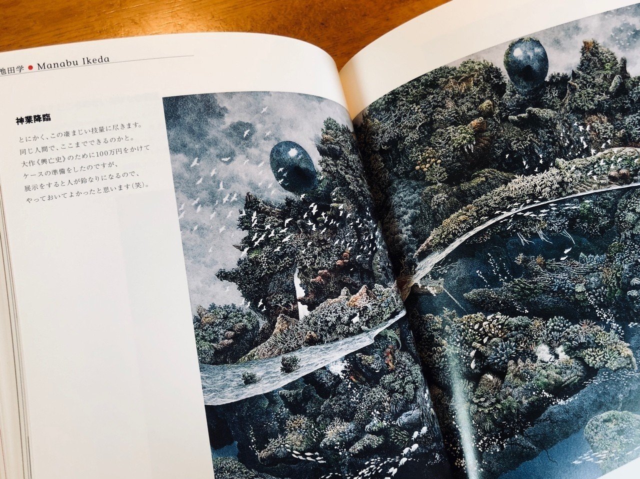 図録とともに美術展を振り返る （1）〜2009年「ネオテニー・ジャパン