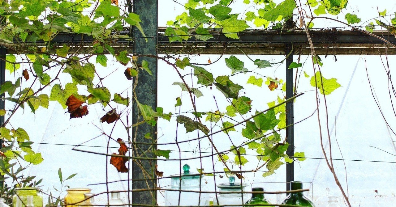 人に会うと疲れる人 元気になる人 もろけん note