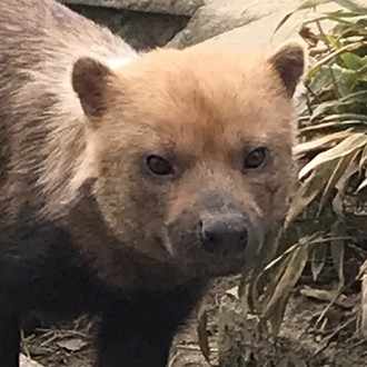 ウラ
