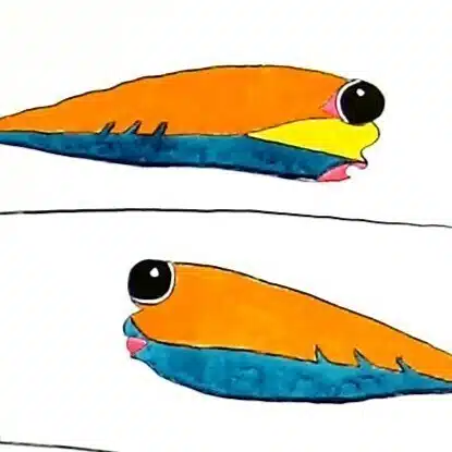 やまめのへや