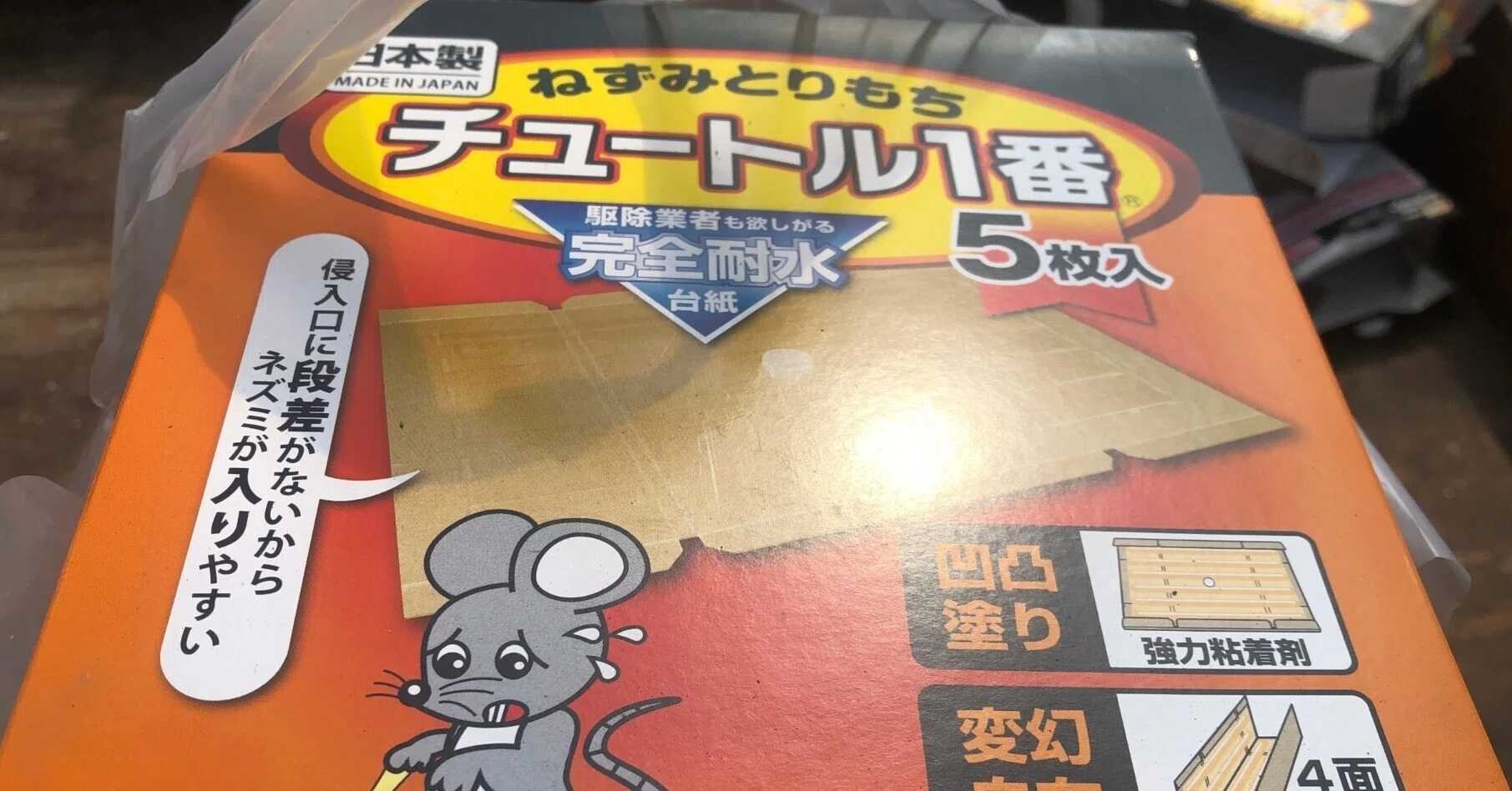 仁義なきネズミとの戦い、さいこうファーム育苗ハウス編、開戦｜吉田