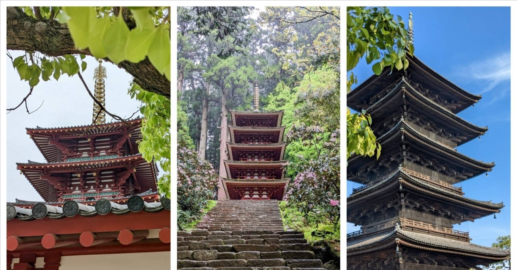 よくばり近畿の旅①大阪から奈良へ｜丸山直己