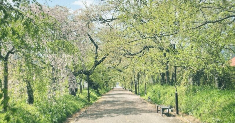 【おでかけ】散った桜に初めて見惚れた日