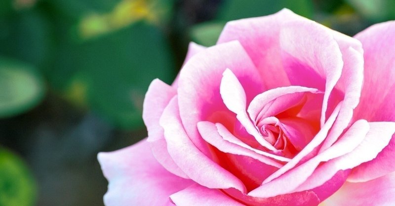 アロマテラピー検定 とこ Note