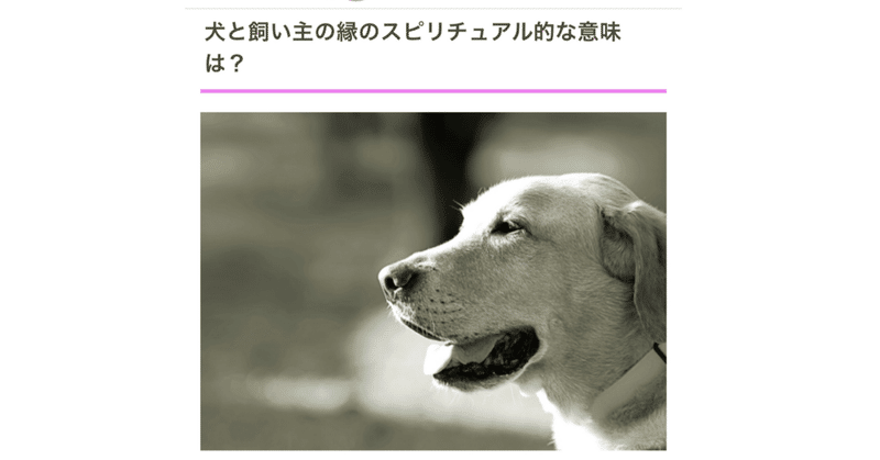 【札幌占い】「犬と飼い主の縁のスピリチュアル的な意味は？飼い主を選んでやってくる？（callat media）」魔女の記事監修🧙