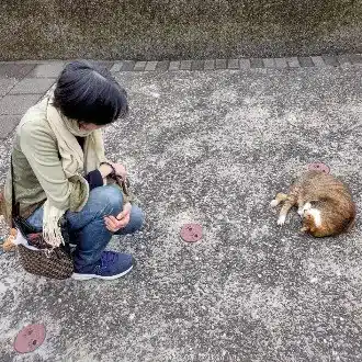 さやかとめだか