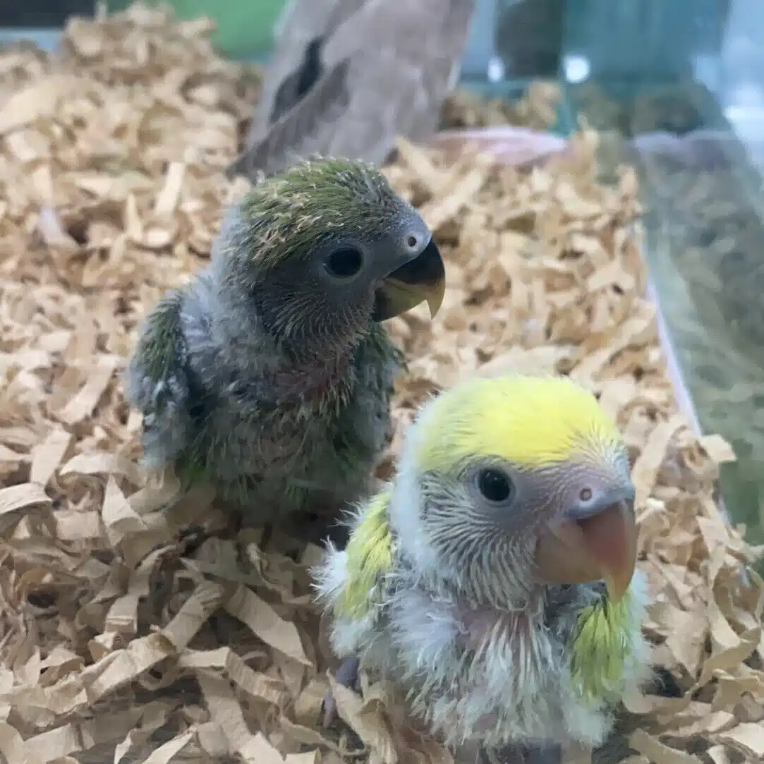 こうして、家庭は崩壊した