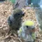 こうして、家庭は崩壊した