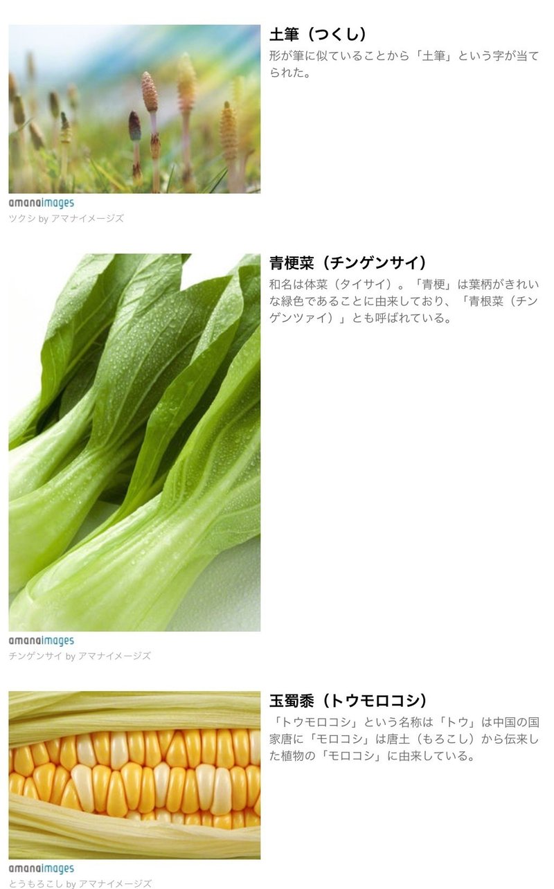 お墓を掘り起こす様な作業より 未来志向の日本であって欲しいなぁ 宮咲アンナ Note お墓を掘り起こす様な作業より 未来志向の日本であって欲しいなぁ 宮咲アンナ Note