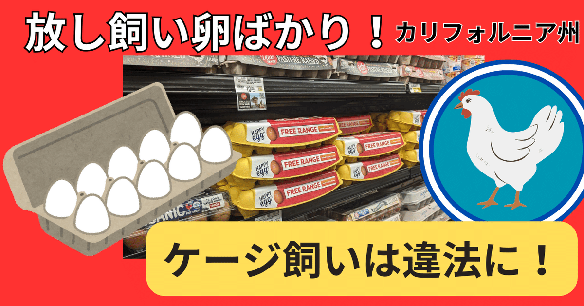 鳥と卵 卵インキュベーター、自動卵インキュベーター、デジタル全自動