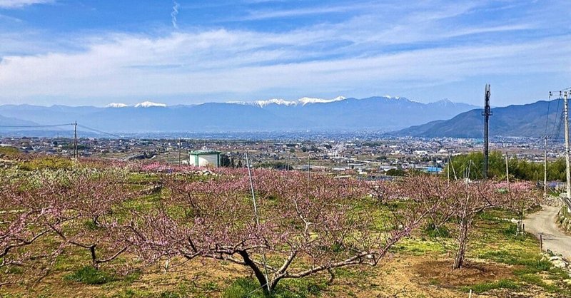 2024年4月13日　白山八王子山(600m)