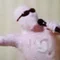 桃色あなぁきすと