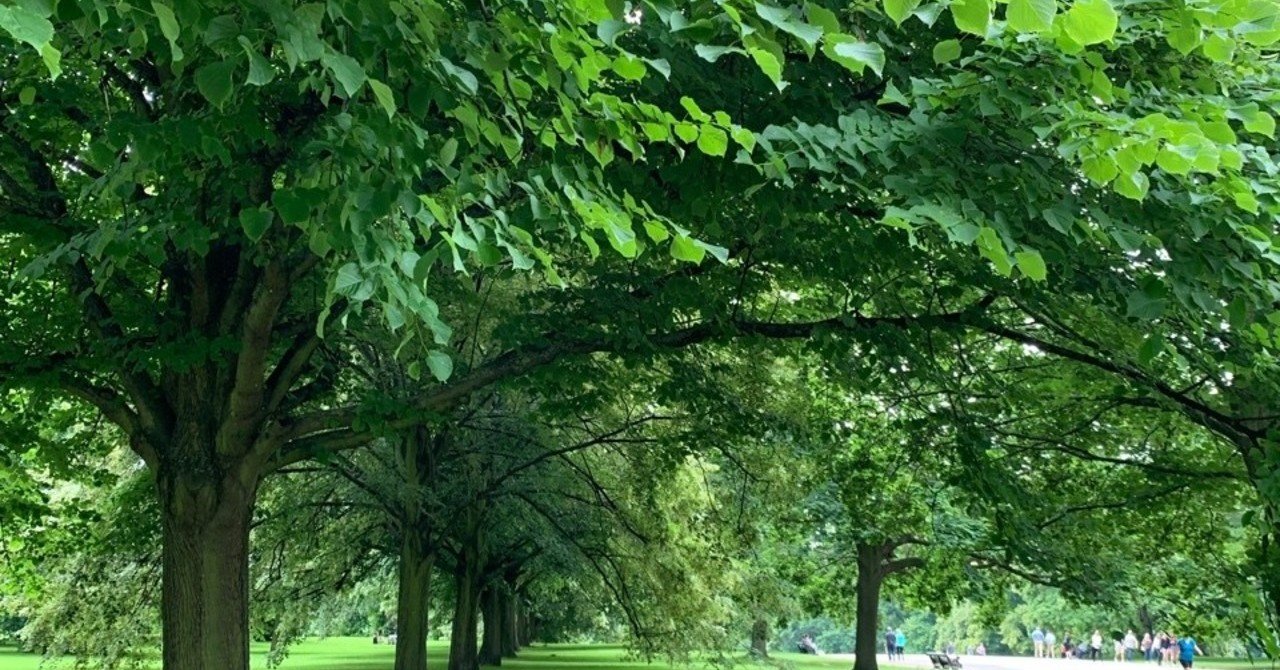 自分を取り戻す方法 Erina Yoshida Note 自分を取り戻す方法 Erina Yoshida Note